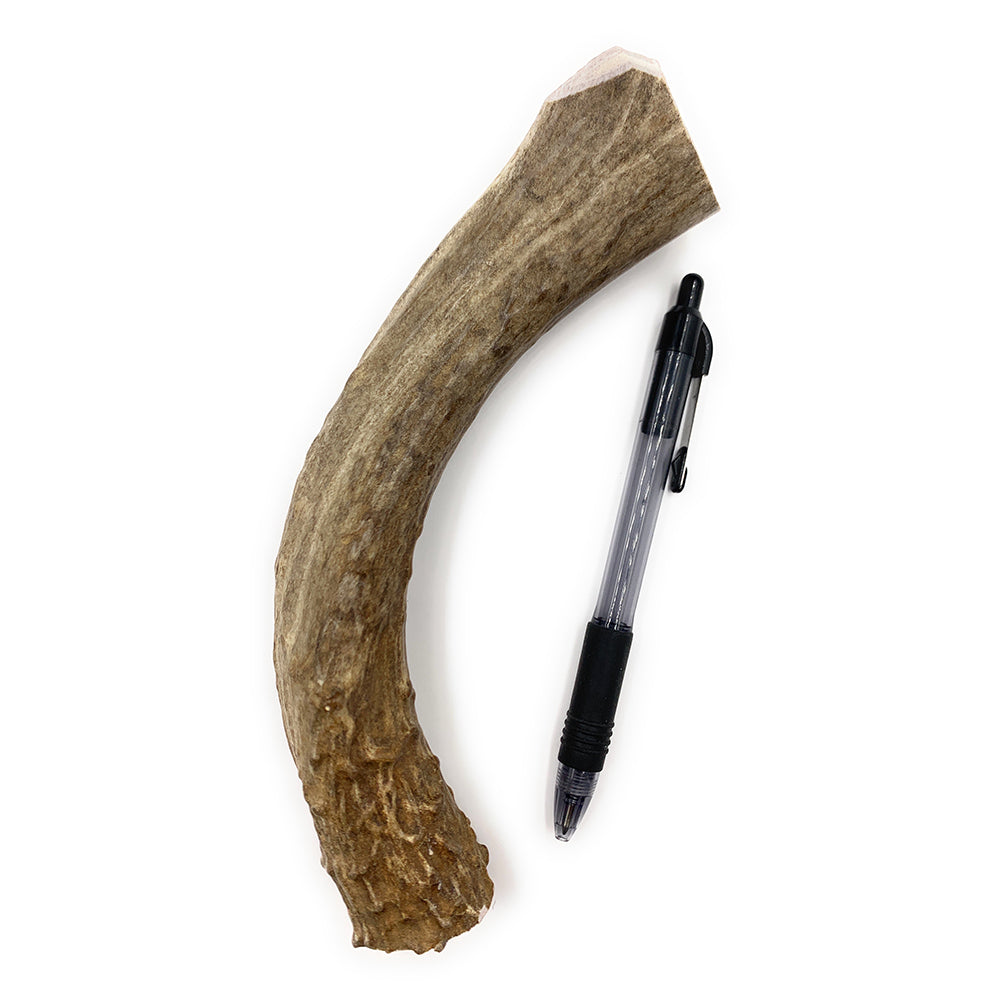 Extra Large Deer Antler Chew