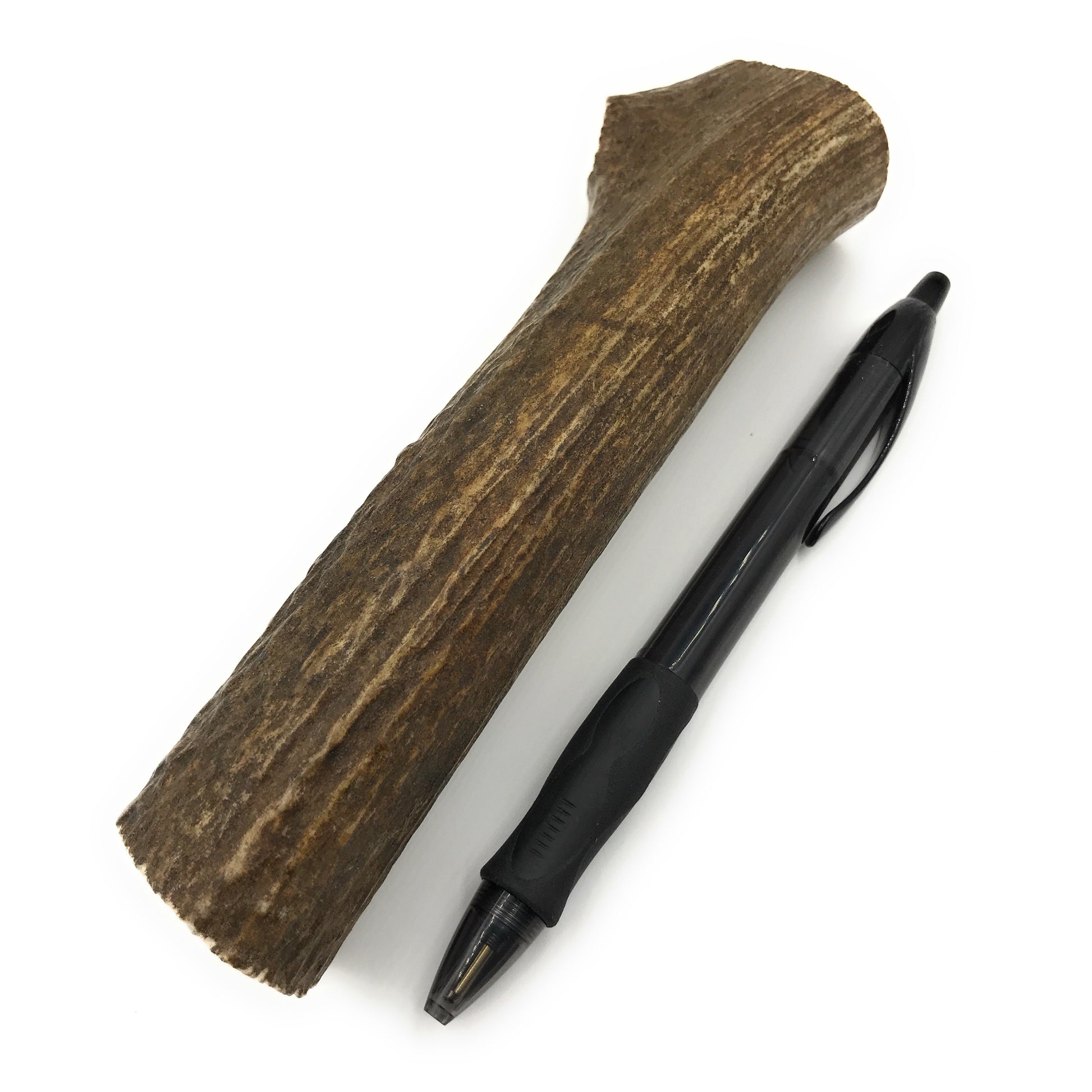 Medium Elk Antler Chew